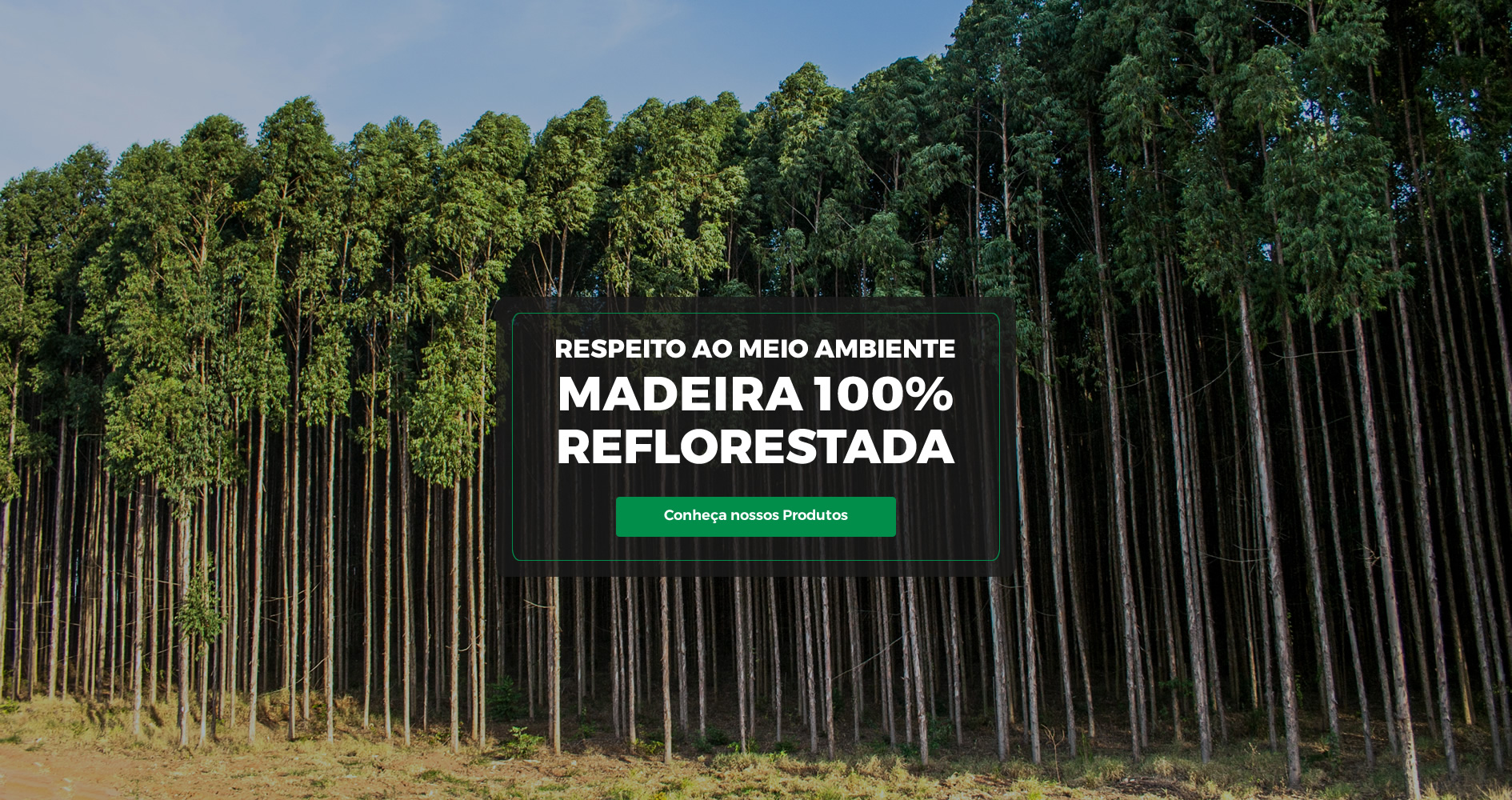 Respeito ao meio ambiente - Madeira 100% reflorestada