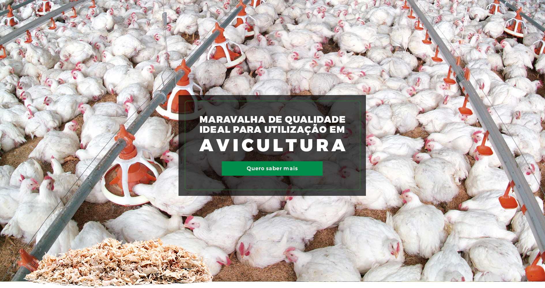Maravalha de qualidade ideial para utilização em bovinocultura
