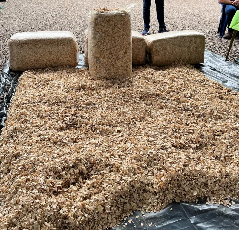 Cama de maravalha para galinheiro