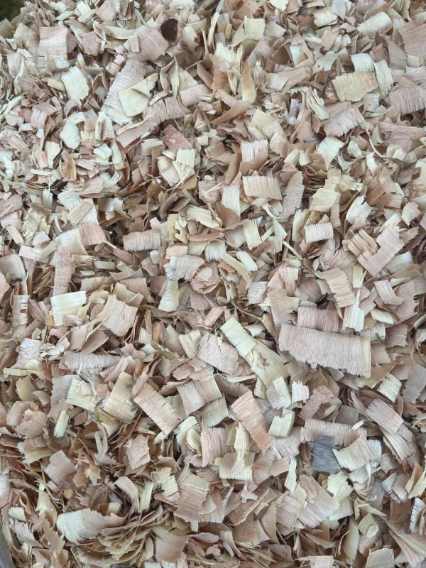 Maravalha para calopsita