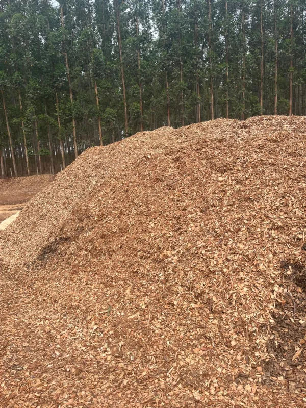 Preço de cavacos de madeira